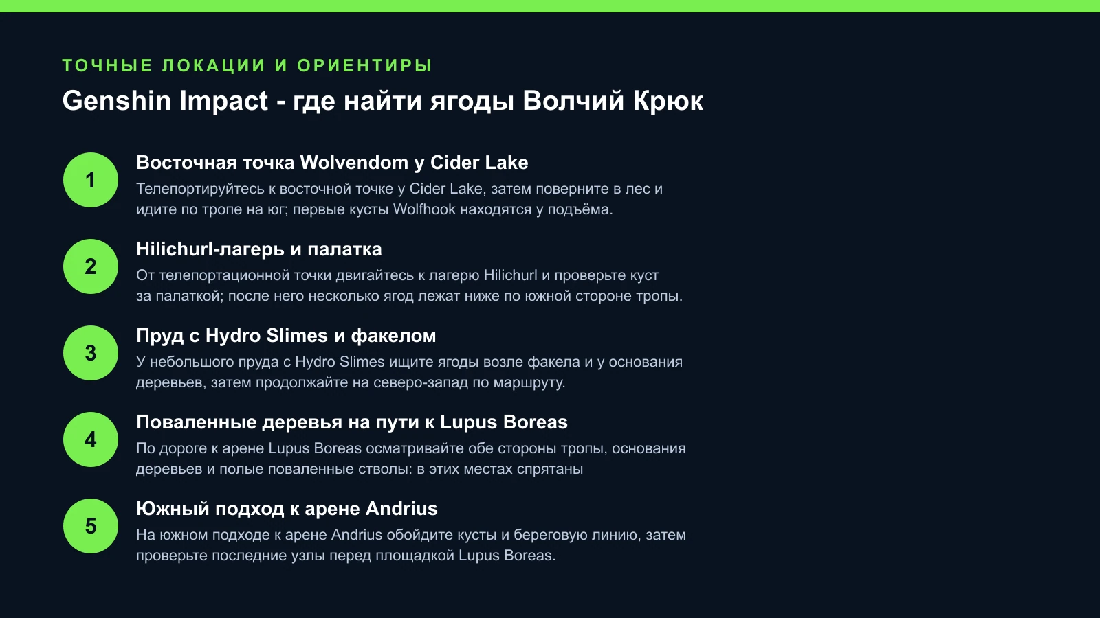 Genshin Impact - где найти ягоды Волчий Крюк — проверенные шаги и ориентиры