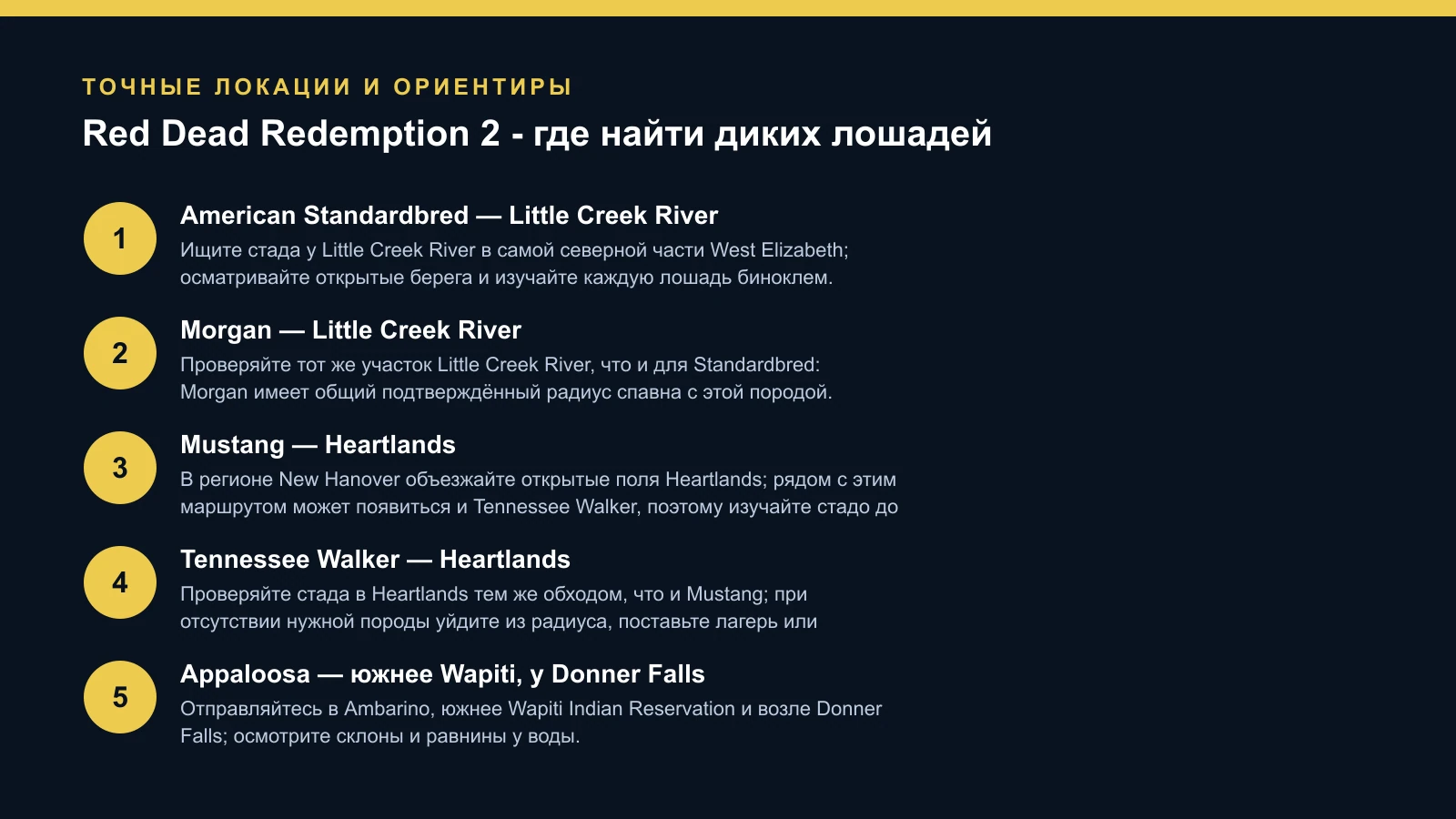 RDR2: карта первых пяти пород Horseman 10