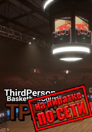 Third Person Basketball Court по сети